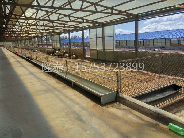 羊舍的基本建設