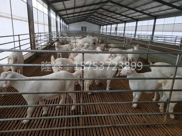 羊床給養殖戶(hù)減少勞動(dòng)力